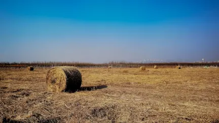קזינו סלוט שייק אפליקציה לנייד